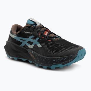Кросівки для бігу чоловічі ASICS Trabuco 14 GTX black/misty pine