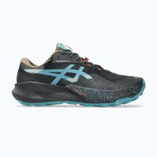 Кросівки для бігу чоловічі ASICS Trabuco 14 GTX black/misty pine