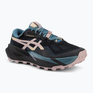 Кросівки для бігу жіночі ASICS Trabuco 14 GTX black/morganite