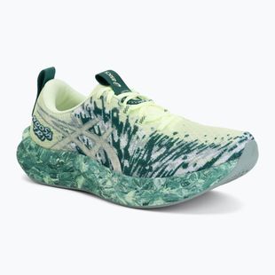 Кросівки для бігу чоловічі ASICS Noosa Tri 16 illuminate yellow/jewel green