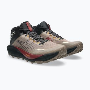 Кросівки для бігу чоловічі Asics Gel-Trabuco Mt Gtx taupe grey/graphite grey