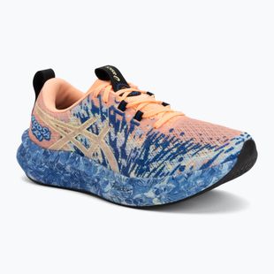 Кросівки для бігу чоловічі ASICS Noosa Tri 16 bright sunstone/soft sky