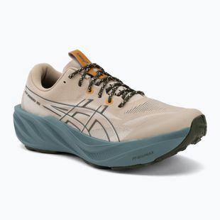 Чоловічі бігові кросівки ASICS Gt-2000 15 TR simply taupe/foggy teal