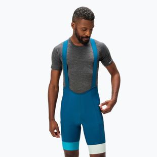 Шорти велосипедні чоловічі Endura Loop Bibshort barra blue