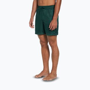 Шорти для плавання чоловічі Nike Swim Breaker 7" Volley fir