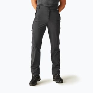 Штани трекінгові чоловічі REGATTA Travel Light Packaway ash