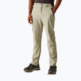 Штани трекінгові чоловічі REGATTA Travel Light Packaway golden sand