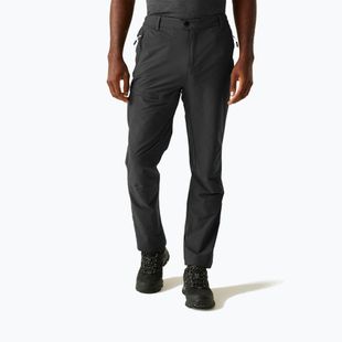 Штани трекінгові чоловічі REGATTA Highton II ash