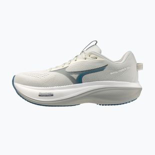 Кросівки для бігу чоловічі Mizuno Wave Rider 30 foggy dew/dark slate/white