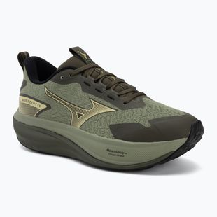 Кросівки для бігу чоловічі Mizuno Wave Rider Tt 4 sea spray/beechnut/forest night
