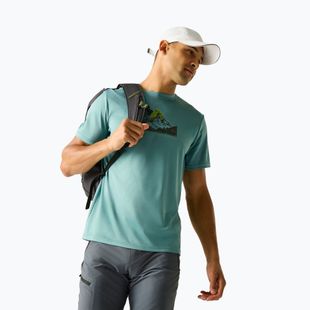 Футболка трекінгова чоловіча REGATTA Fingal arctic