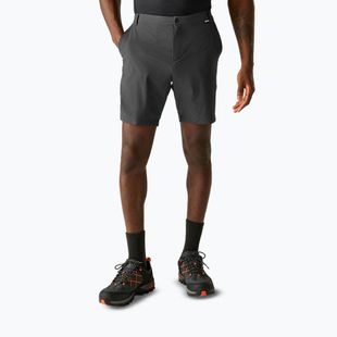 Шорти трекінгові чоловічі REGATTA Anti Insect Travel Light ash