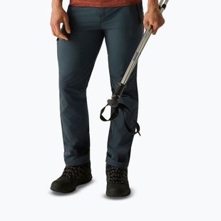 Штани трекінгові чоловічі REGATTA Highton II night sky