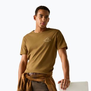 Футболка чоловіча Regatta ClineIX rich tan original outdoor