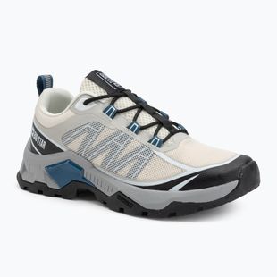 Кросівки чоловічі BIG STAR RR174011 бежевий