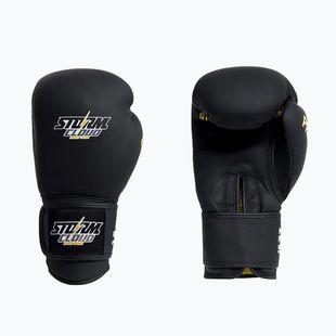 Рукавиці боксерські StormCloud Boxing Pro black