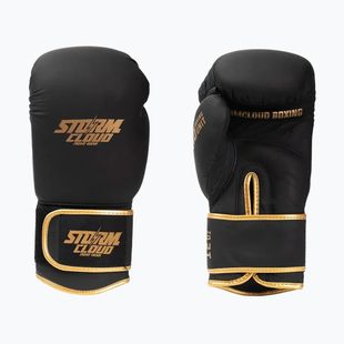 Рукавиці боксерські StormCloud Boxing Pro black/gold