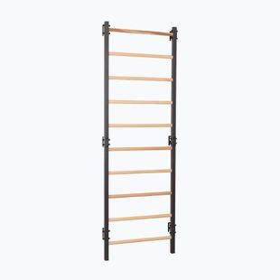 Драбинка гімнастична RINAGYM Steel 1 graphit