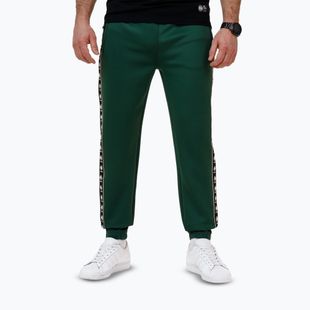 Штани чоловічі Pitbull Track Pants Powers bottle green