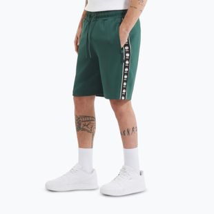 Шорти чоловічі Pitbull Track Shorts Powers bottle green