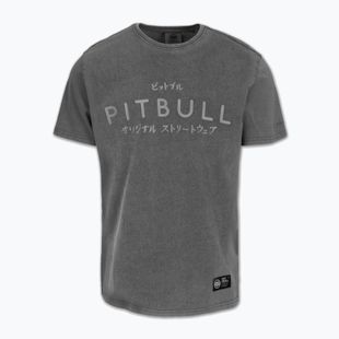 Футболка чоловіча Pitbull Mt. Fuji washed grey