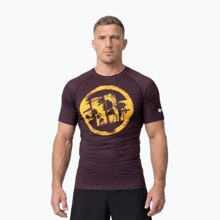 Футболка чоловіча Pitbull Rashguard Logo Palms brown