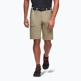 Шорти трекінгові чоловічі Alpinus Terminio оливковий