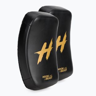 Щити для тренувань HOOK FIGHTING TX0-B4M0042 тайські 2 шт. чорний