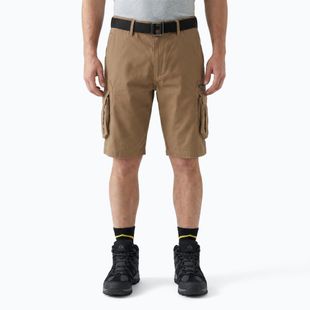 Шорти чоловічі KADVA PathGear brown