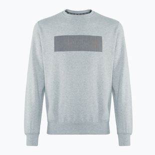 Кофта чоловіча PROSTO Crewneck Cameleo gray