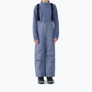 Штани гірськолижні дитячі 4F Fnk F0948 grey