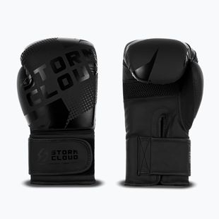 Рукавиці боксерські StormCloud Bolt 3.0 black/black
