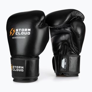 Рукавиці боксерські StormCloud Muay Thai Blizzard 2.0 black/white