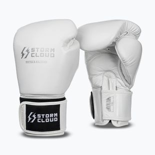 Рукавиці боксерські StormCloud Muay Thai Blizzard 2.0 white/silver
