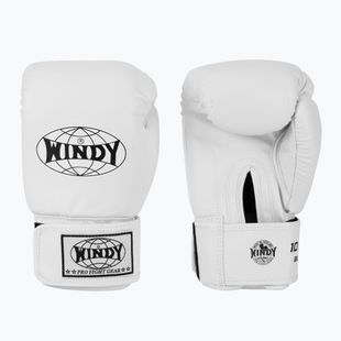 Рукавиці боксерські WINDY Classic Synthetic Leather white