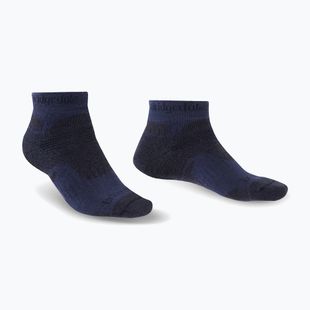 Чоловічі трекінгові шкарпетки Bridgedale Hike Midweight Performance Ankle navy