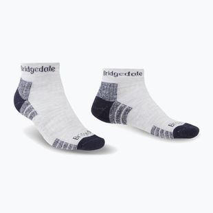 Шкарпетки чоловічі Bridgedale Hike Lightweight Performance Ankle silver/navy