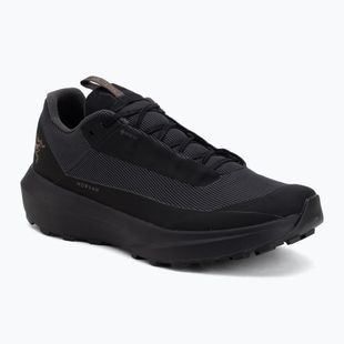Кросівки для бігу чоловічі Arcteryx Norvan LD 4 GTX black/black