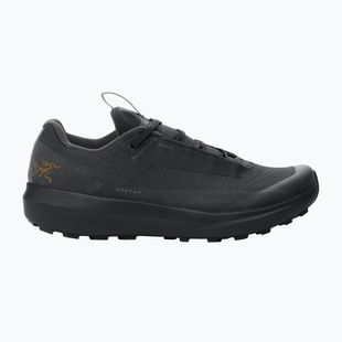Кросівки для бігу чоловічі Arc'teryx Norvan LD 4 GTX black/black