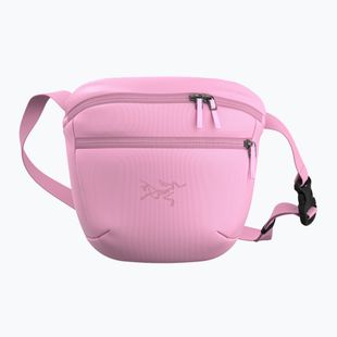 Сумка Arc'teryx Mantis 2 2,5 and pineberry