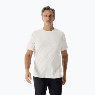 Футболка чоловіча Arcteryx Cormac Logo arctic silk