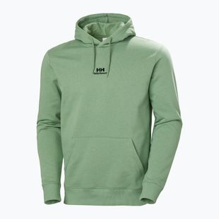 Кофта чоловіча Helly Hansen Yu Hoodie 2.0 jade 2.0