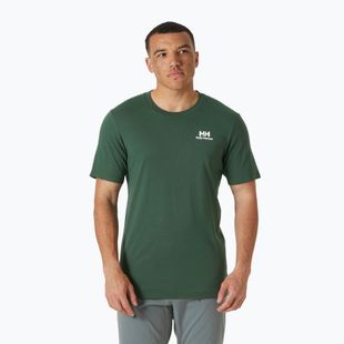 Футболка чоловіча Helly Hansen Nord Graphic jungle green