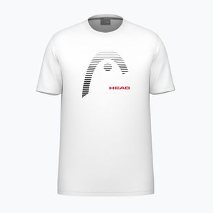 Футболка тенісна чоловіча HEAD Carl white