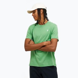 Футболка чоловіча Peak Performance Explore Graphic peppermint