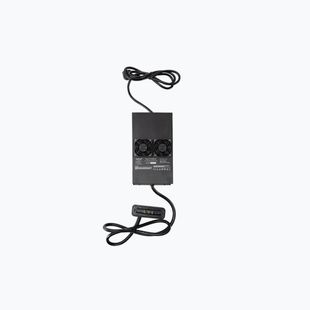 Зарядний пристрій для електричної дошки Radinn Standard charger EU KP чорний 910024AA