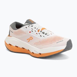 Кросівки для бігу чоловічі On Cloudrunner 3 Max white/autumn