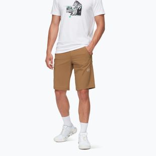 Шорти трекінгові чоловічі Mammut Runbold IV claystone