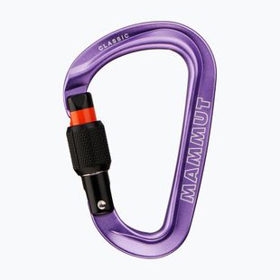 Карабін Mammut Classic HMS Screwgate screw gate/alpine calamint