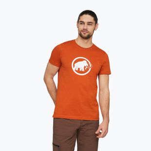 Футболка чоловіча Mammut Core T-Shirt Men Classic autumn larice